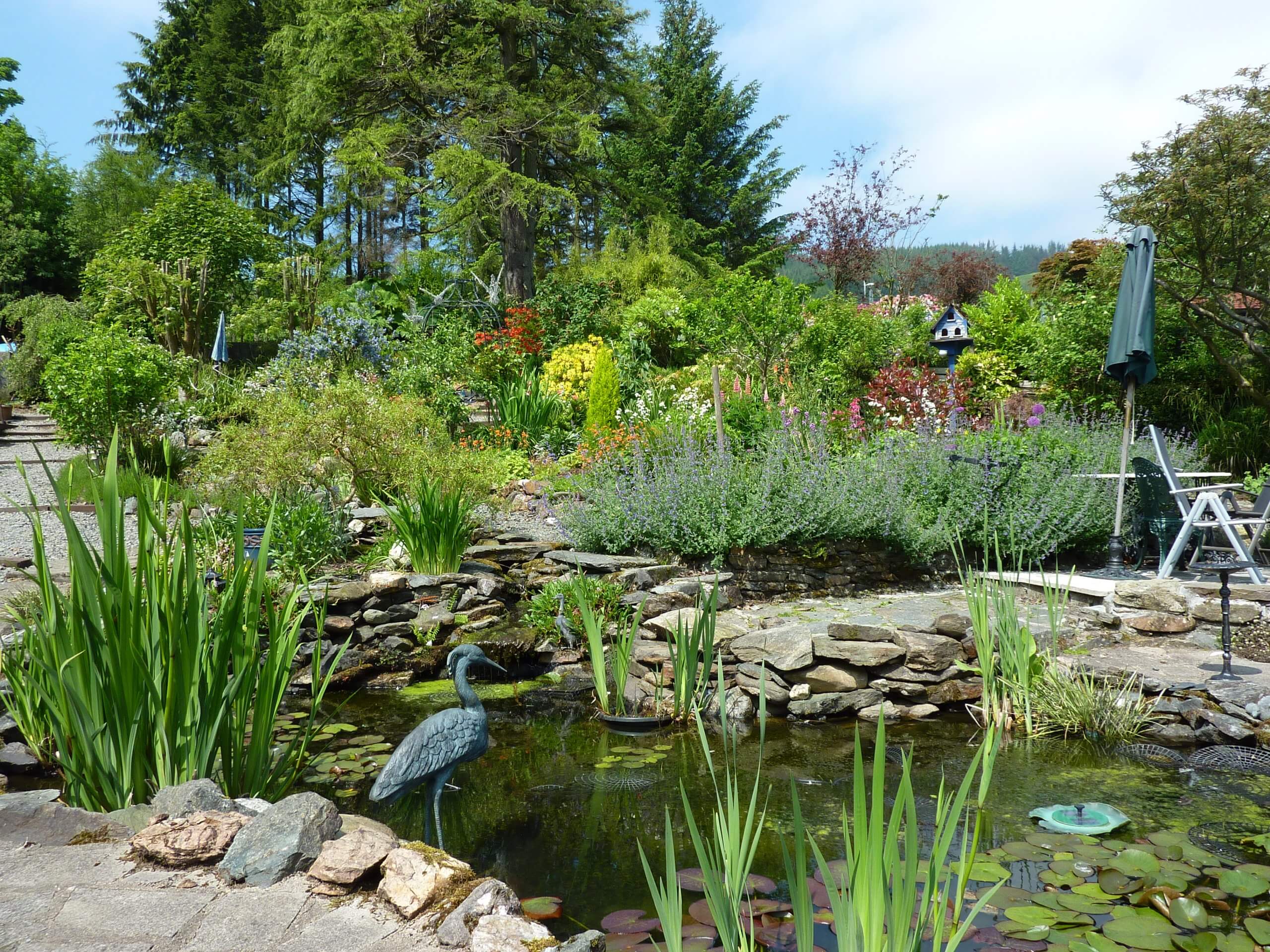 case-study-garden-pond