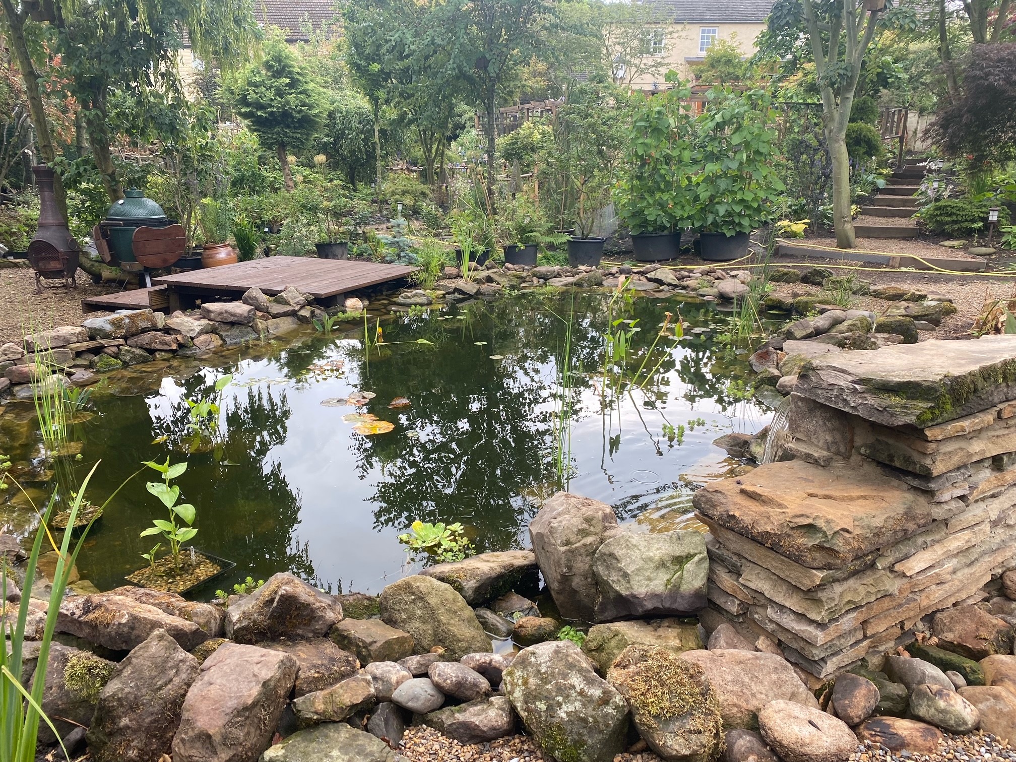 Garden pond surrounded by stonework and plants