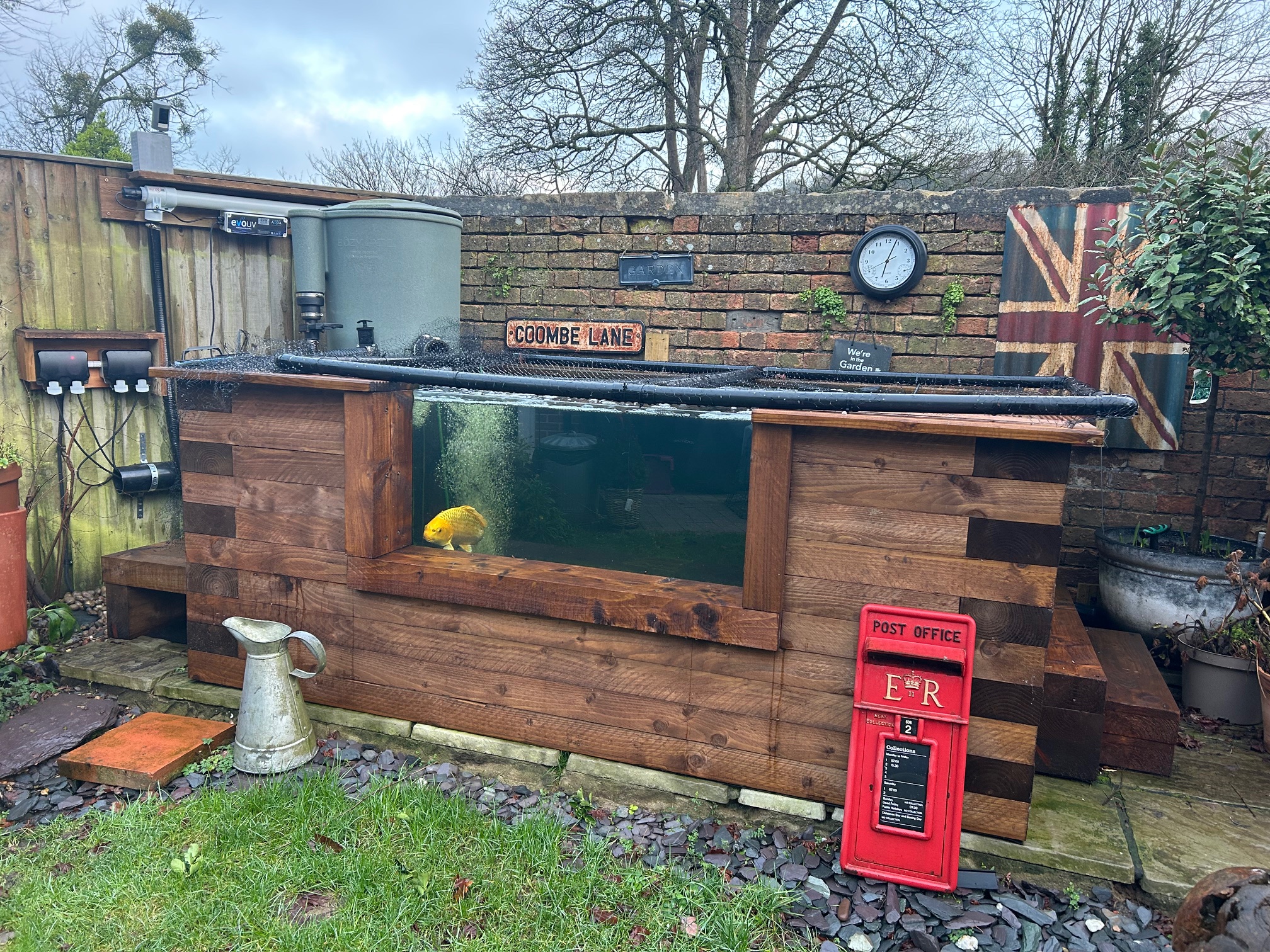 Yellow fish in a wooden house pond