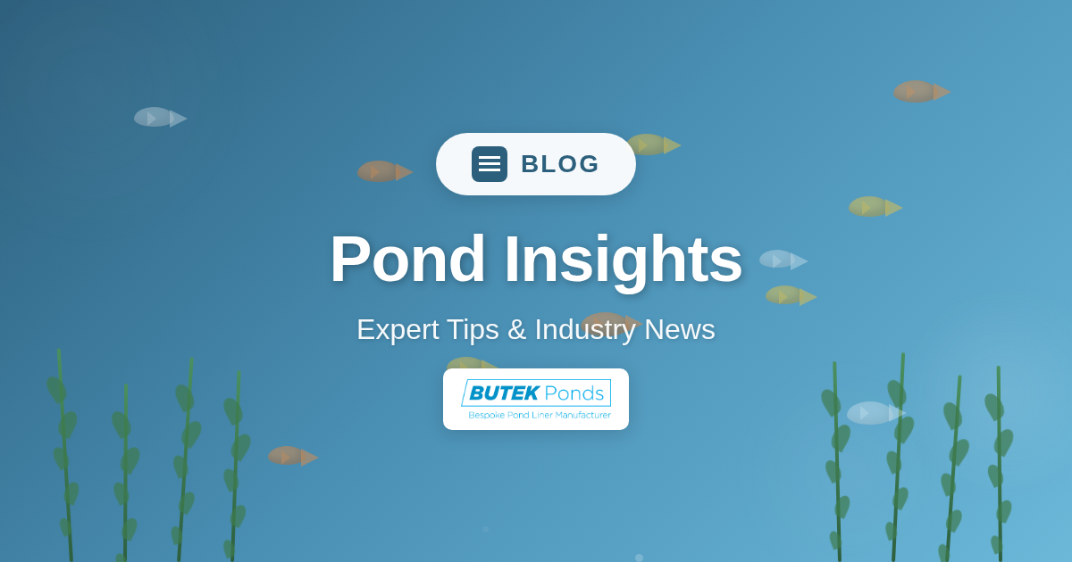 Butek Ponds Blog featured image