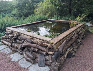 wildlife pond project