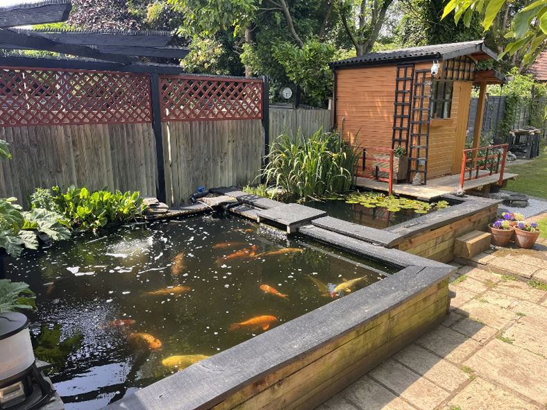 Finished koi pond and garden