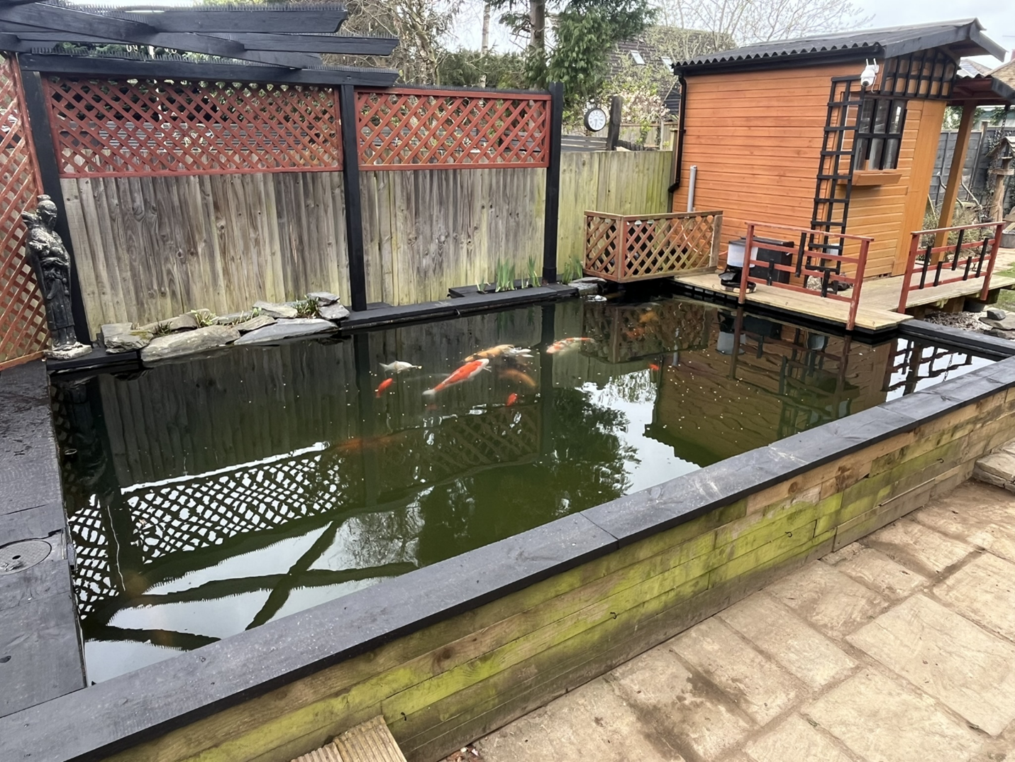 finished koi pond