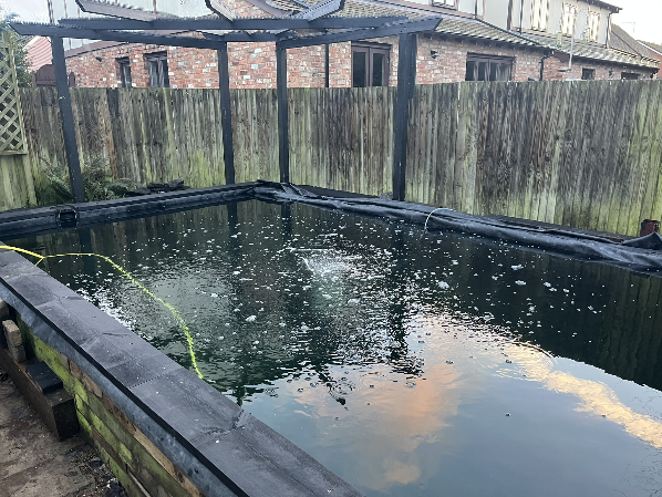 Koi pond work in progress 3