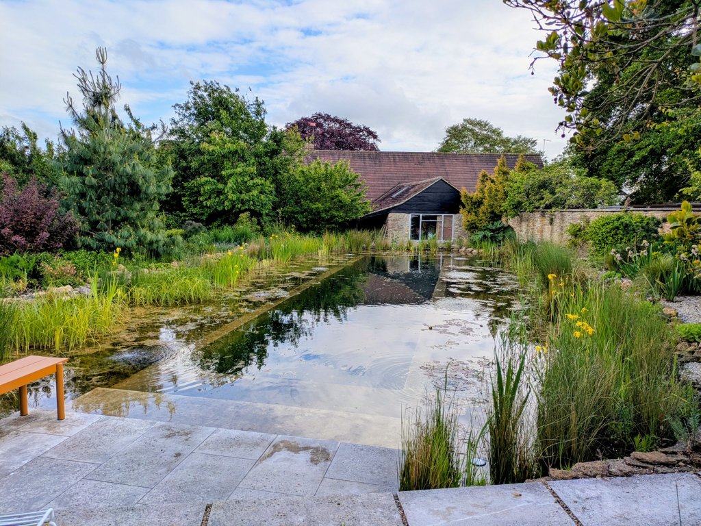 Pond after the build